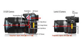 Differences Between DSLR and Mirrorless Camera You Should Know ...