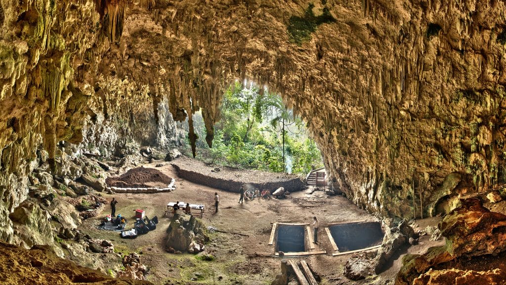 Liang Bua Cave