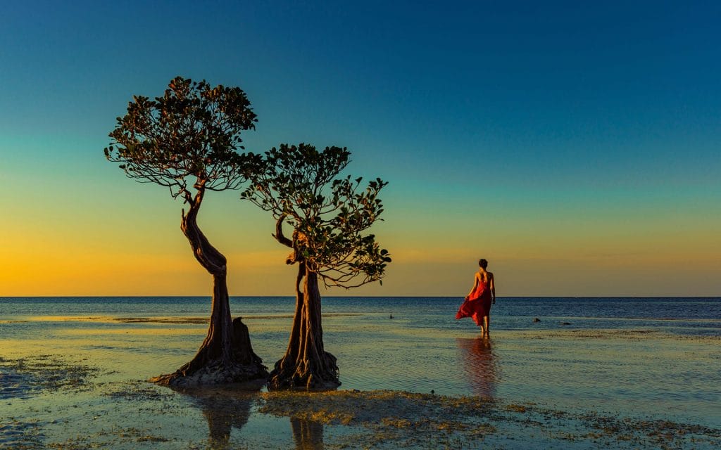 Walakiri Beach: Enjoy a Beautiful Sunset with Dancing Trees - Letstravelntt