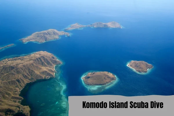 scuba dive Komodo Island