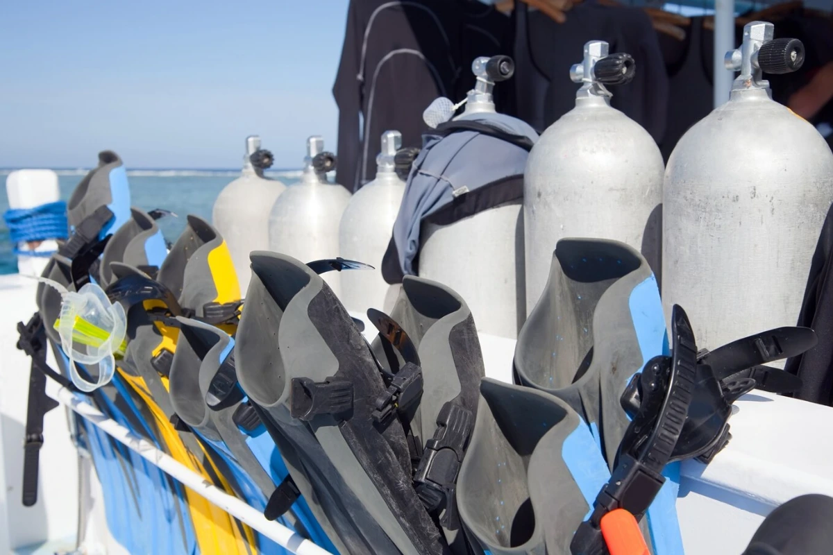 Komodo scuba season