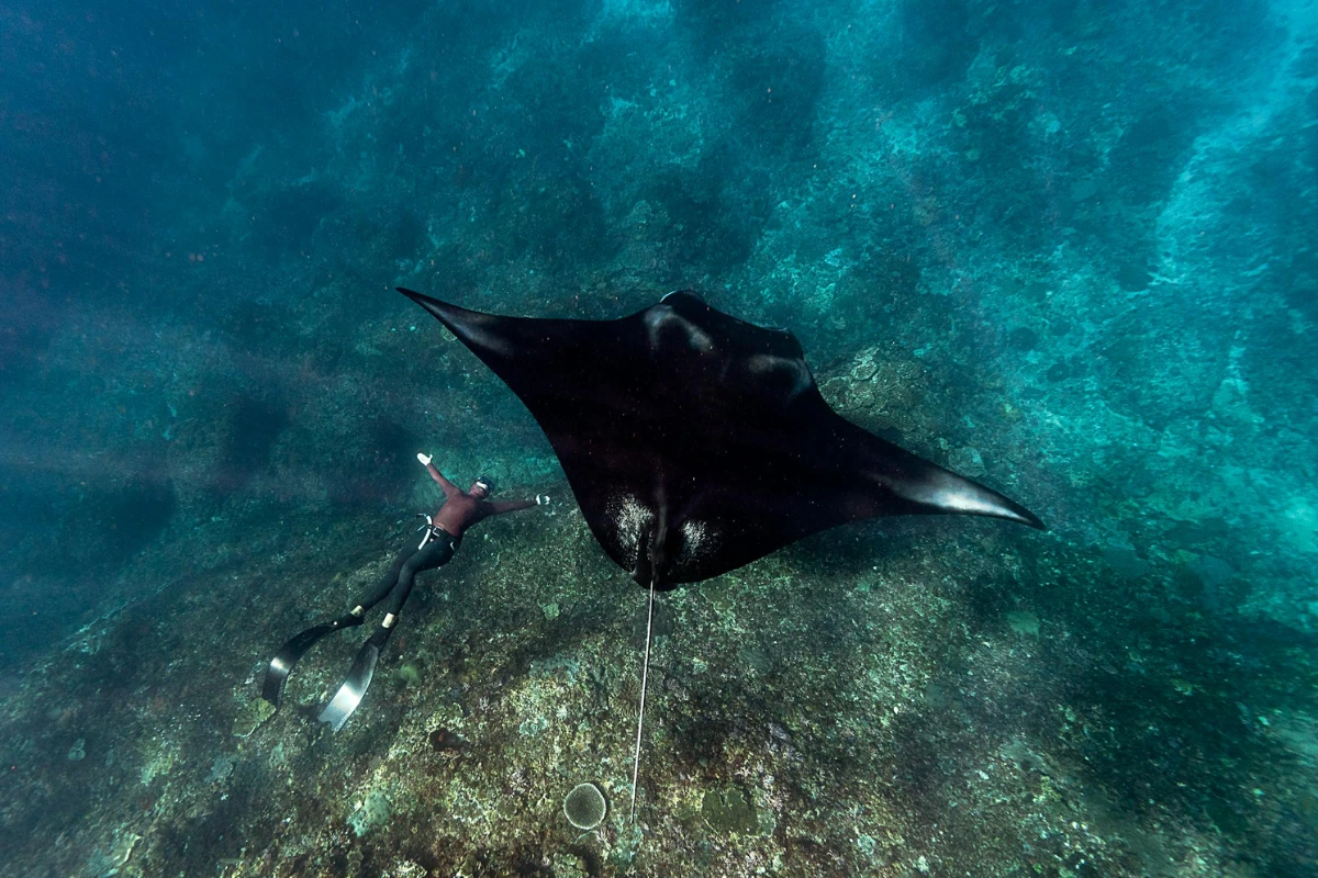 Komodo National park