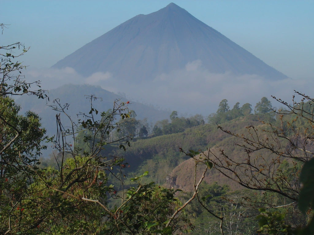 Flores mountains