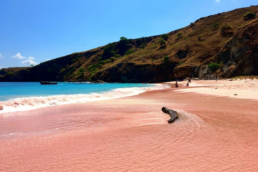 Pink Beach Komodo Island