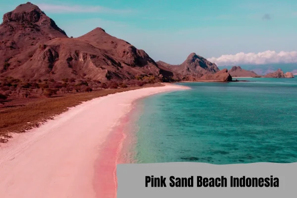 Pink Sand Beach Indonesia