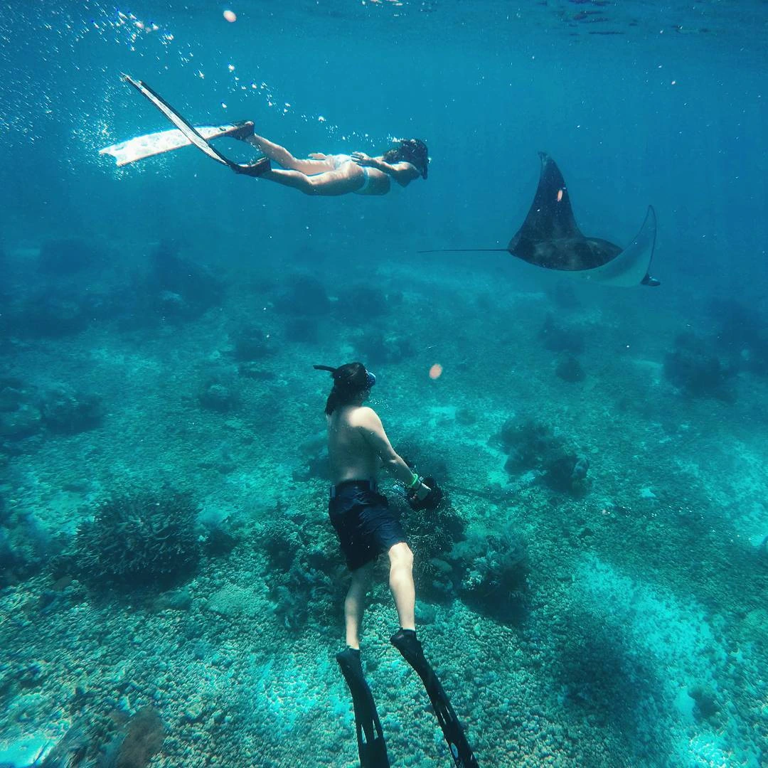 Komodo Island scuba diving sites