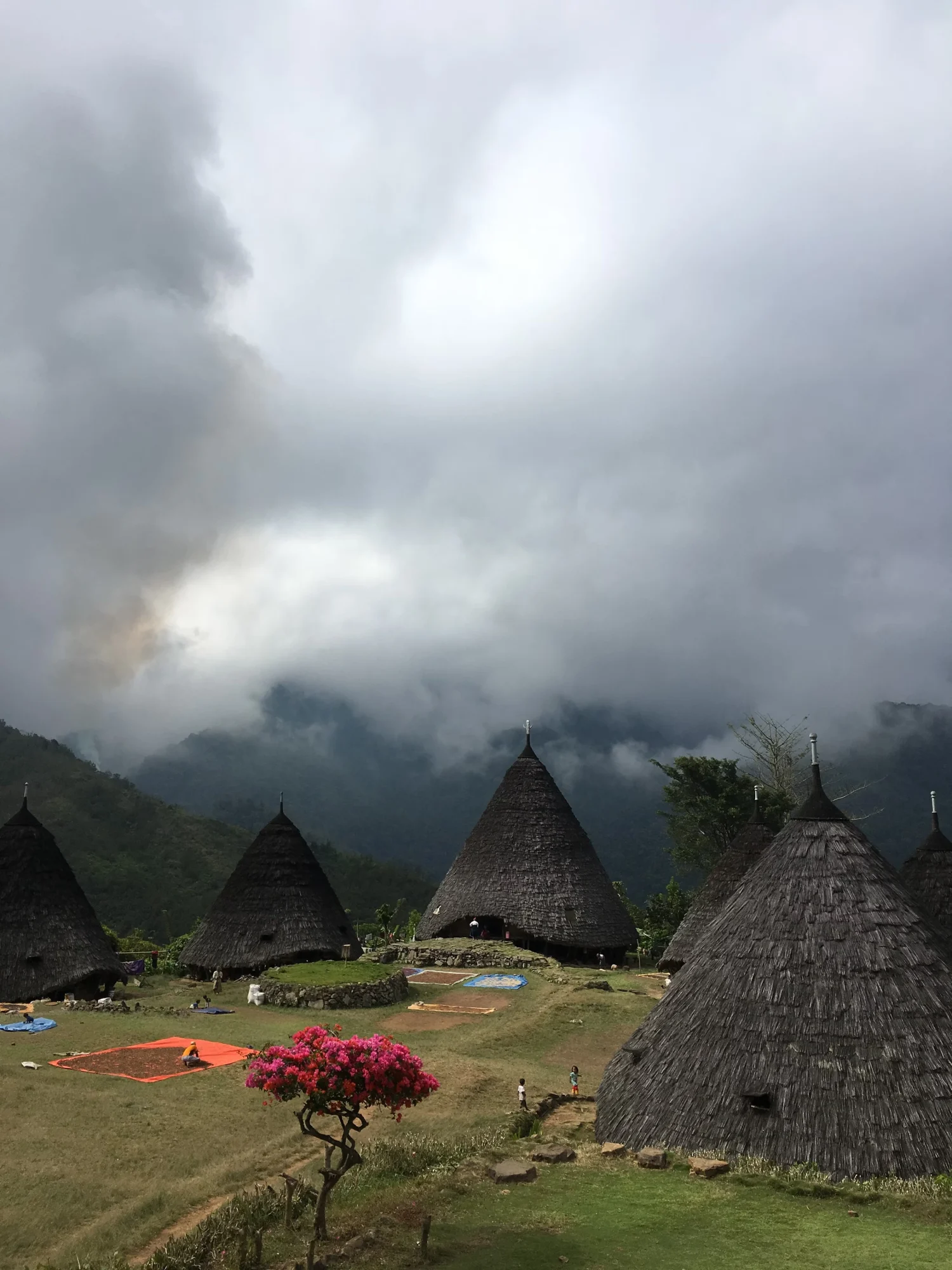 traditional house of the Manggarai Tribe