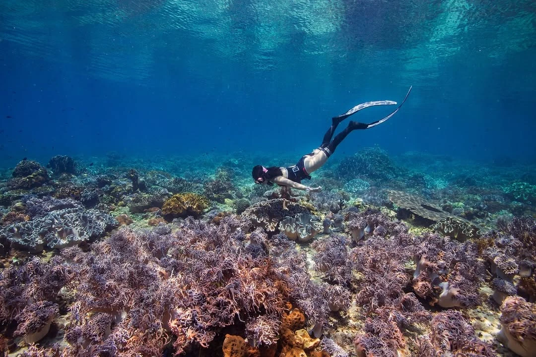 Underwater photography in East Nusa Tenggara