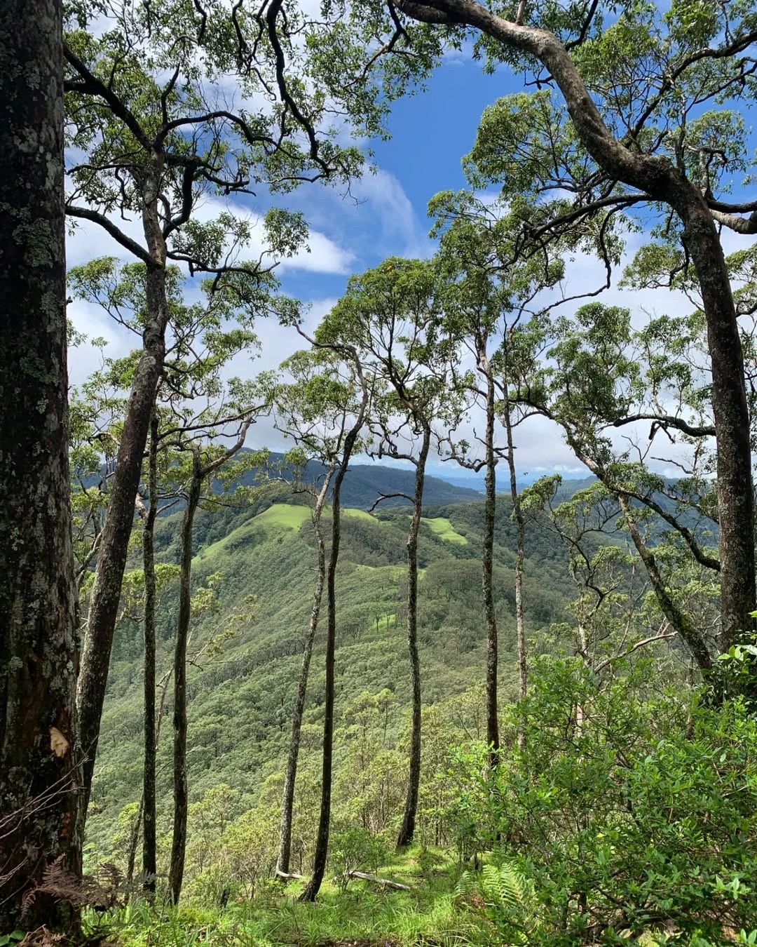 where to hike in East Nusa Tenggara
