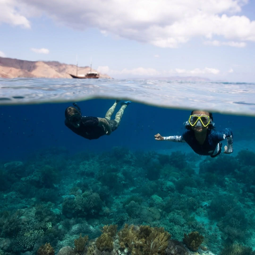 diving in Alor
