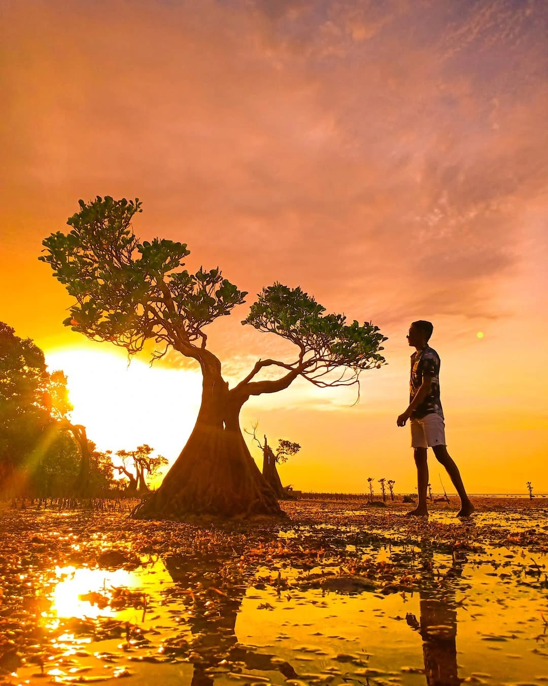 Sunset beach walk