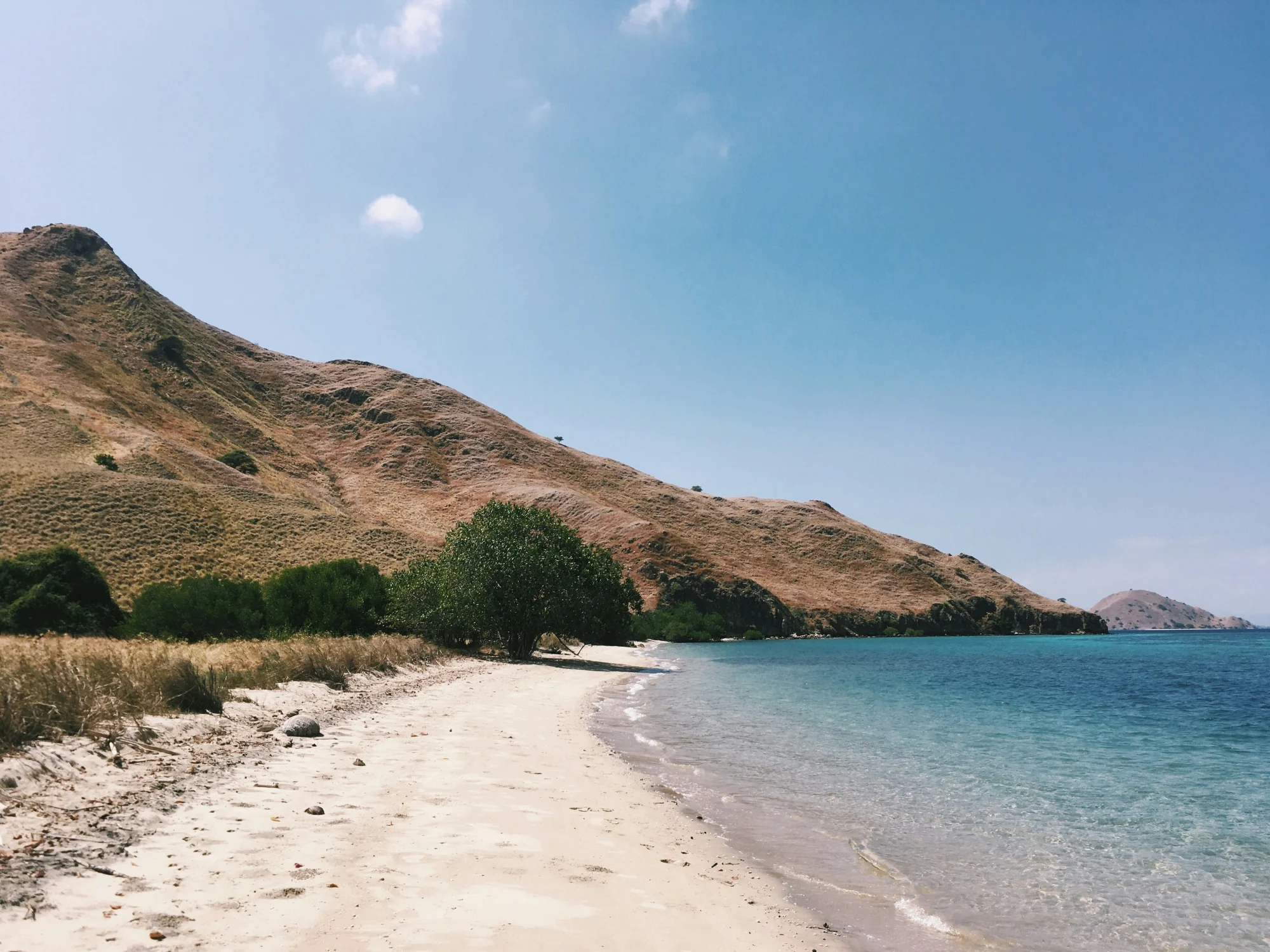 things to do in komodo island