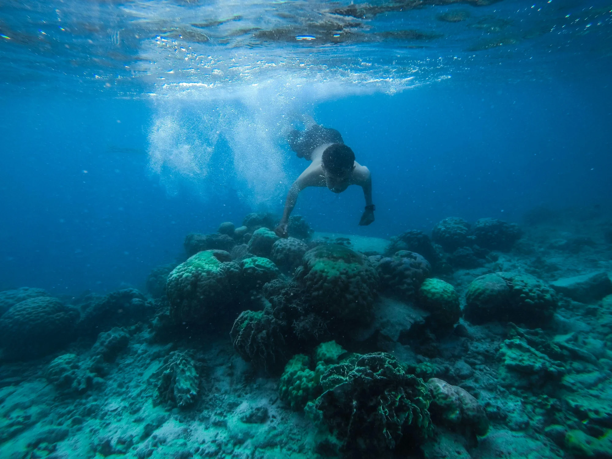 Snorkeling tours in Komodo National Park