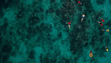 Snorkeling in East Nusa Tenggara